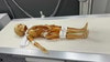 Pediatric Full Body for X-Ray CT, US