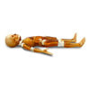 Pediatric Full Body for X-Ray CT, US