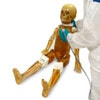 Pediatric Full Body for X-Ray CT, US