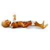 Pediatric Full Body for X-Ray CT, US