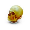 Pediatric Full Body for X-Ray CT, US