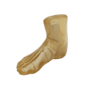 Adult Foot for X-Ray CT, US, MRI