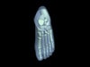 Adult Foot for X-Ray CT, US, MRI