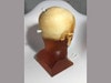 Adult Head (Hematoma) for X-Ray CT, US, MRI