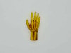 Pediatric Hand for X-Ray CT, US, MRI