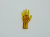 Pediatric Hand for X-Ray CT, US, MRI