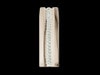 Adult Spine for X-Ray CT