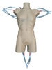 Adult Torso (Cardiac) for X-Ray CT, MRI