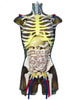 Adult Torso (Cardiac) for X-Ray CT, MRI