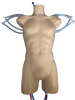Adult Torso (Cardiac) for X-Ray CT, MRI