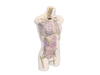 Adult Torso (Dynamic) for X-Ray CT, MRI