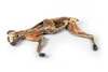 3D Printed Feline Whole-Body Model