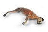 3D Printed Feline Whole-Body Model
