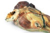 3D Printed Canine Half-Head Sagittal Section Model