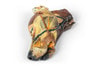 3D Printed Canine Half-Head Sagittal Section Model