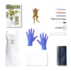 Anatomy Lab Bullfrog Classroom Dissection Pack