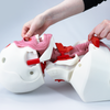 Adult Airway Management Platform Task Trainer V2.1