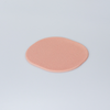 F.O.N.A. Skill Module for Airway Management Task Trainer V2