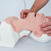 F.O.N.A. Skill Module for Airway Management Task Trainer V2