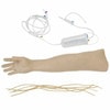 Anatomy Lab IV Training Arm