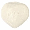 Axis Scientific Patella Bone