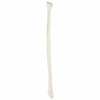Axis Scientific Fibula Bone