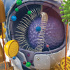 Human Cell Anatomy Model