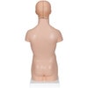 Mini Desktop Human Torso Anatomy Model 12 Parts