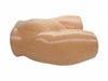 Amniocentesis Ultrasound Training Model