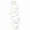 Axis Scientific Set of 12 Disarticulated Ribs