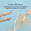 Axis Scientific Classic Life-Size Human Skeleton Anatomy Model with Study Booklet, Numbering Guide, and Hanging Stand Overview