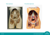 3D Printed Posterior Abdominal wall