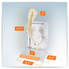 Canine Shoulder Anatomy Model