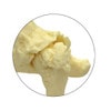 Canine Hip Anatomy Model