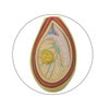 Male Pelvis Anatomy Model With Testicular Cancer
