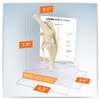 Canine Knee Anatomy Model