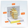 3 Piece Vertebrae Anatomy Model, L2 L3 and L4
