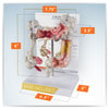 Colon Anatomy Model With Pathologies