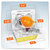 Cornea Cross Section Eye Anatomy Model