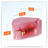 Feline Jaw Anatomy Model