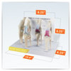 Canine 4-Stage Knee Anatomy Model