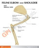 Feline Elbow and Shoulder Anatomy Model