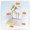 Feline Elbow and Shoulder Anatomy Model