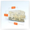 Clear Feline Jaw Anatomy Model