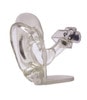 Clear Ear Anatomy Model