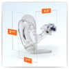Clear Ear Anatomy Model