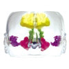 Clear Full Sinus Anatomy Model