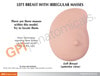 Left Breast Anatomy Model - Soft Tissue With 3 Pathologies
