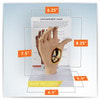 Osteoarthritis Hand Anatomy Model
