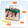 Aging Skin, Hair Loss and Normal Skin Anatomy Model